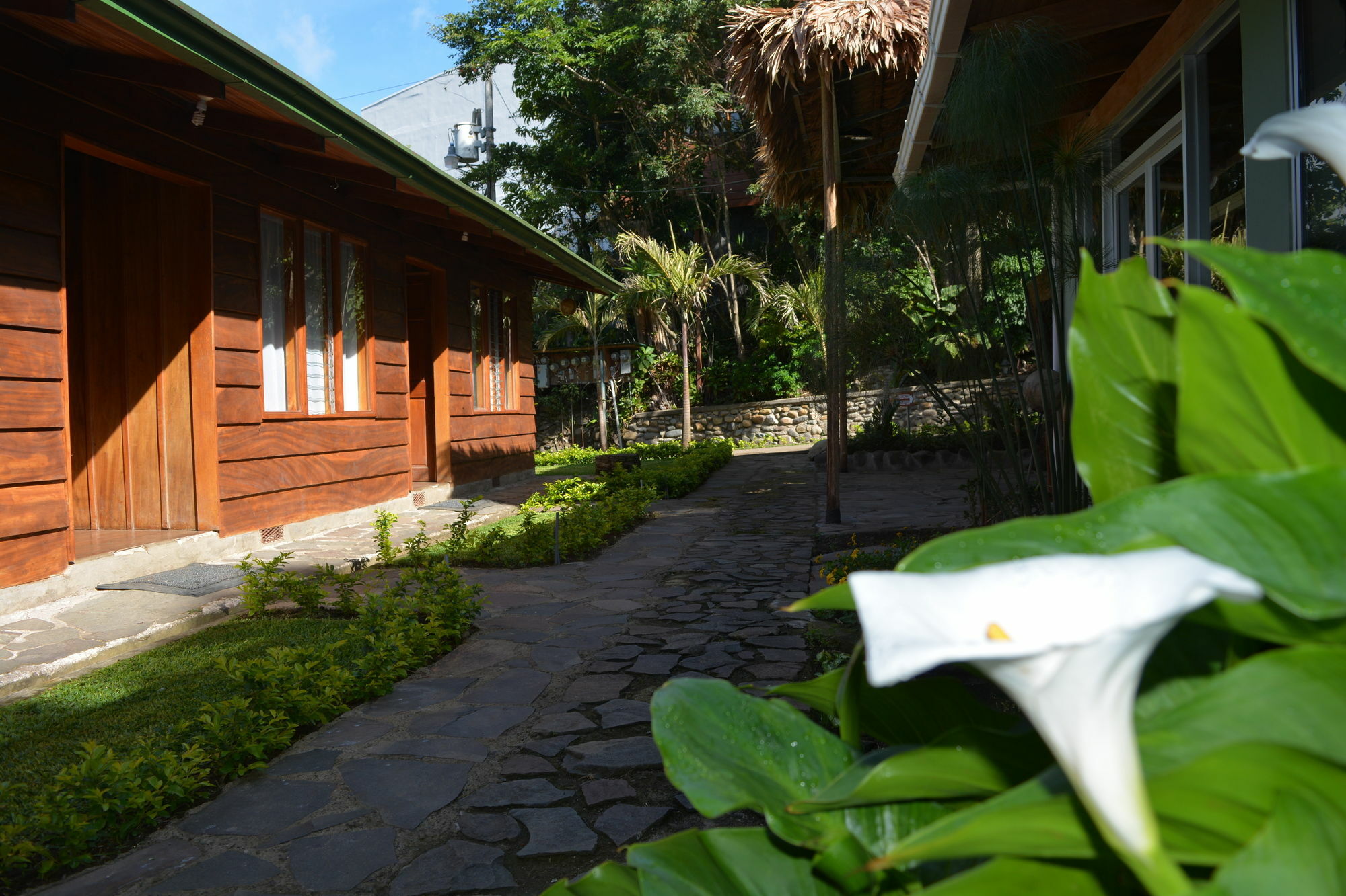 Santa Elena Hostel Resort Monteverde Zewnętrze zdjęcie